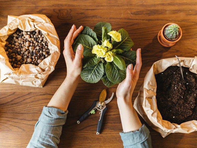 Bolsa de sustrato y pala sobre una mesa de jardín